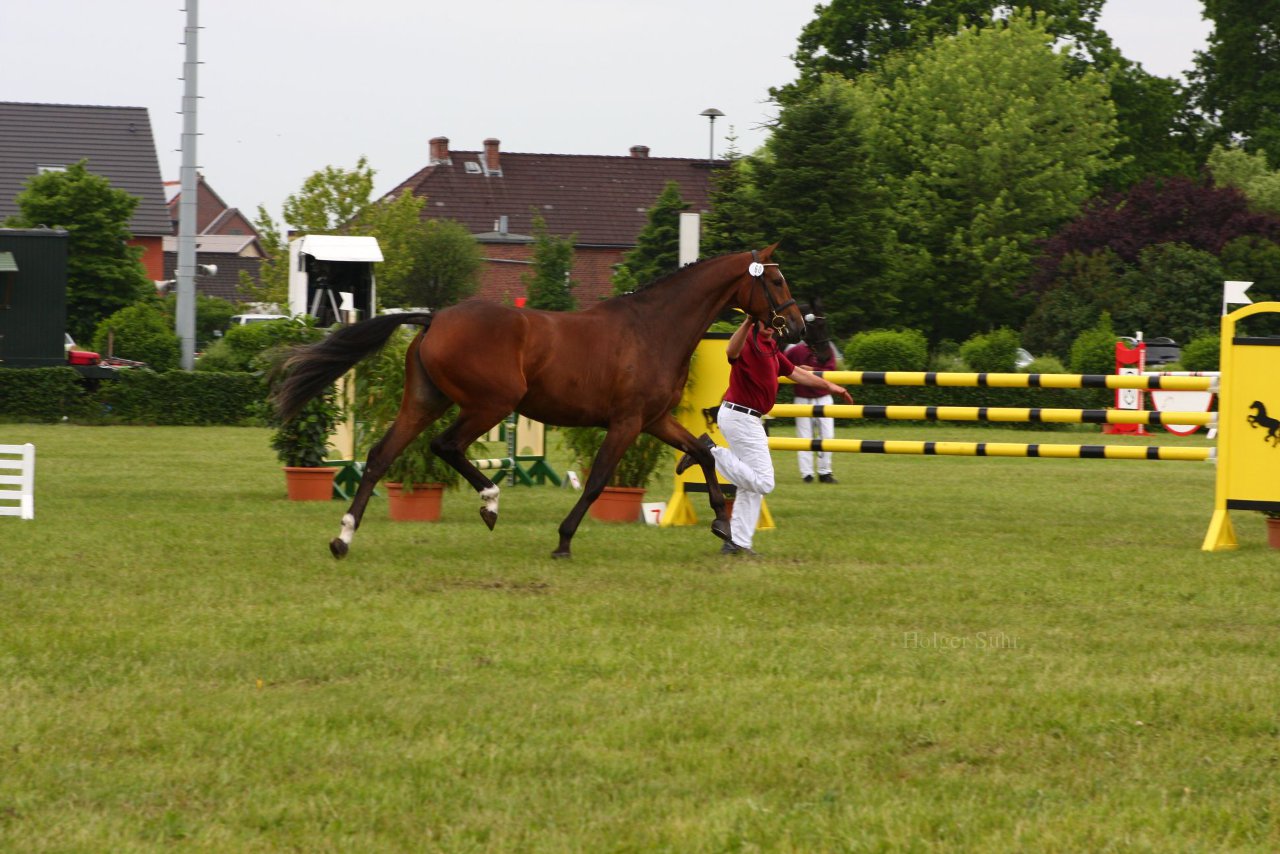 Bild 104 - Elmshorn am 9.6.10